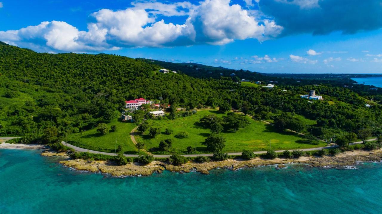 Feather Leaf Inn Frederiksted Zewnętrze zdjęcie